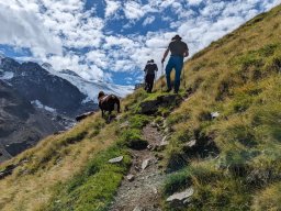 Stubai 2023